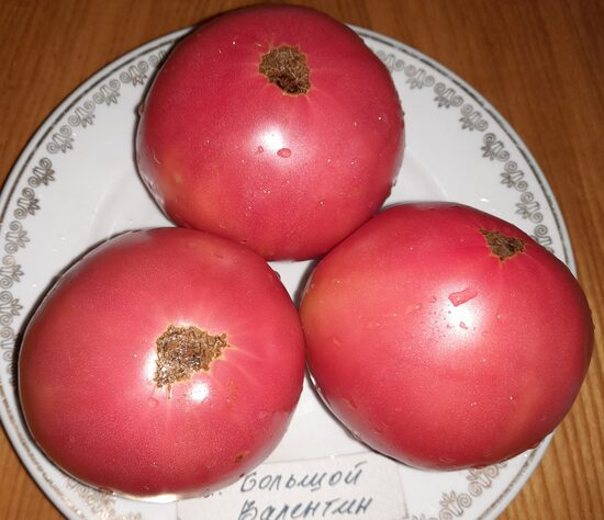 Гном Большой Валентин